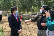 （本地）截至1月29日河北省累计投入8.2亿元用于疫情防控